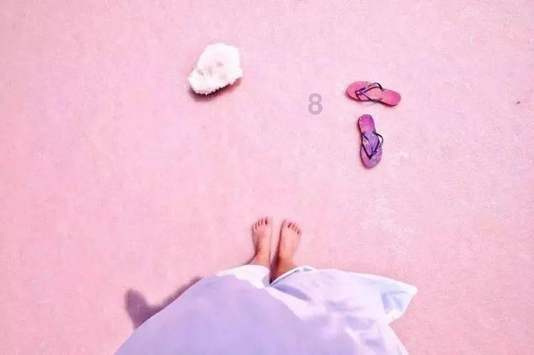 创作猫
