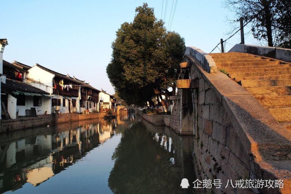东方白鹳现身内蒙古,它为何会被称为“鸟界国宝”?-专业问答网站